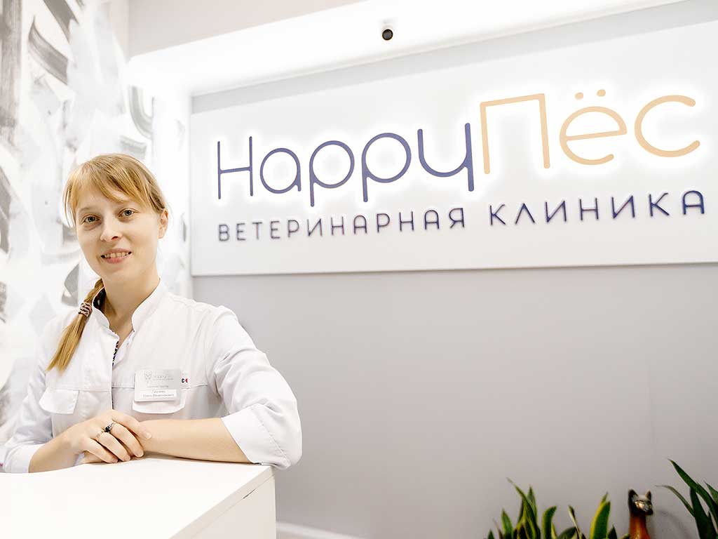 HappyПёс