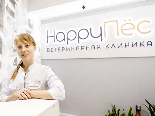 HappyПёс